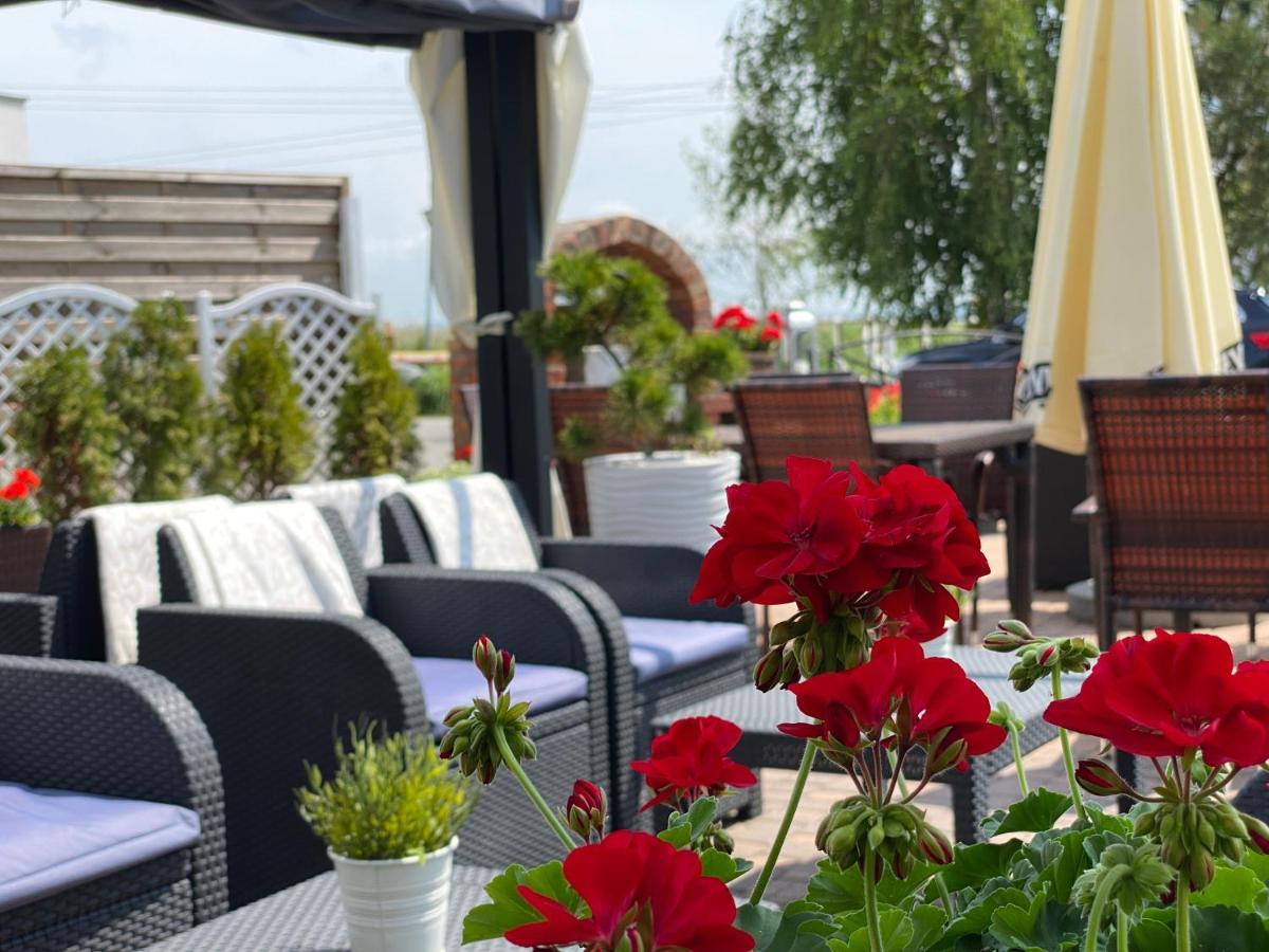 Hotel Krynica Krynica Morska Ngoại thất bức ảnh